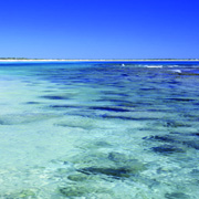 Coastal reef in Shark Bay