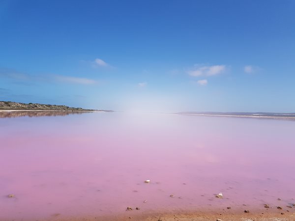 Pink-Lake-(8).jpg