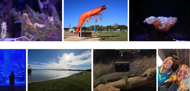Exmouth-Collage-Day-15a.png
