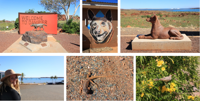 Karratha-Collage-Day-10.png