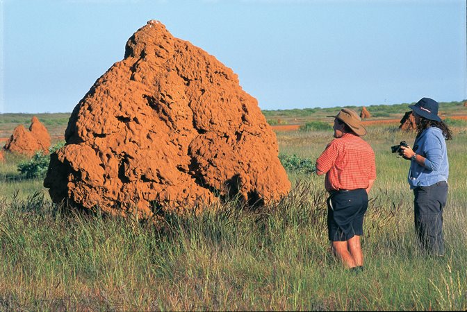 Onslow-Termite-Mounds-Tourism-Western-Australia.jpg