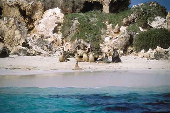 Jurien Bay is... a marine playground and hikers paradise