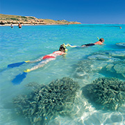 Couple snorkelling around coral 