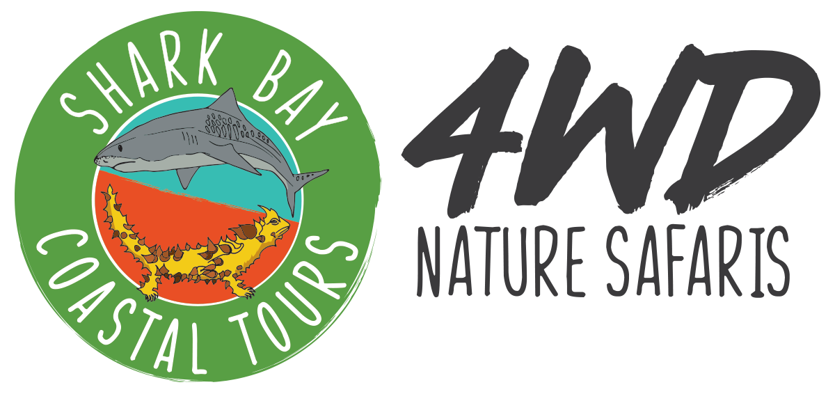 Shark Bay Coastal Tours
