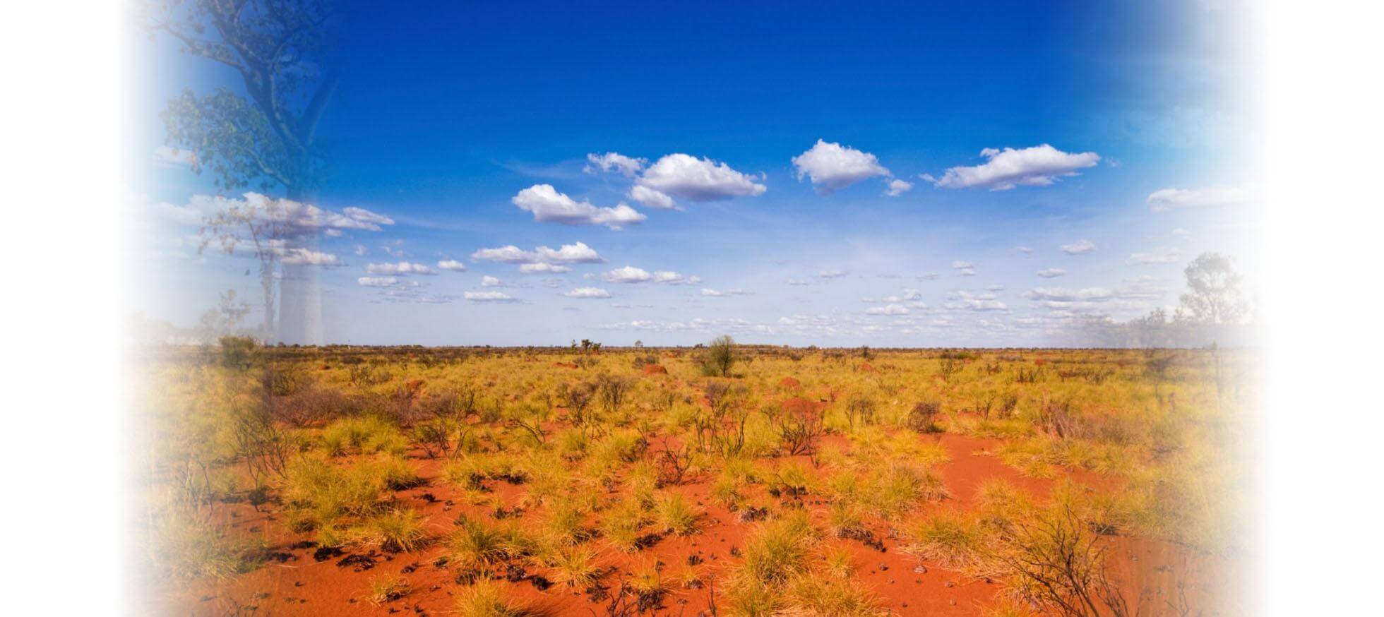 WA Outback view